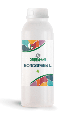 BOROGREEN L